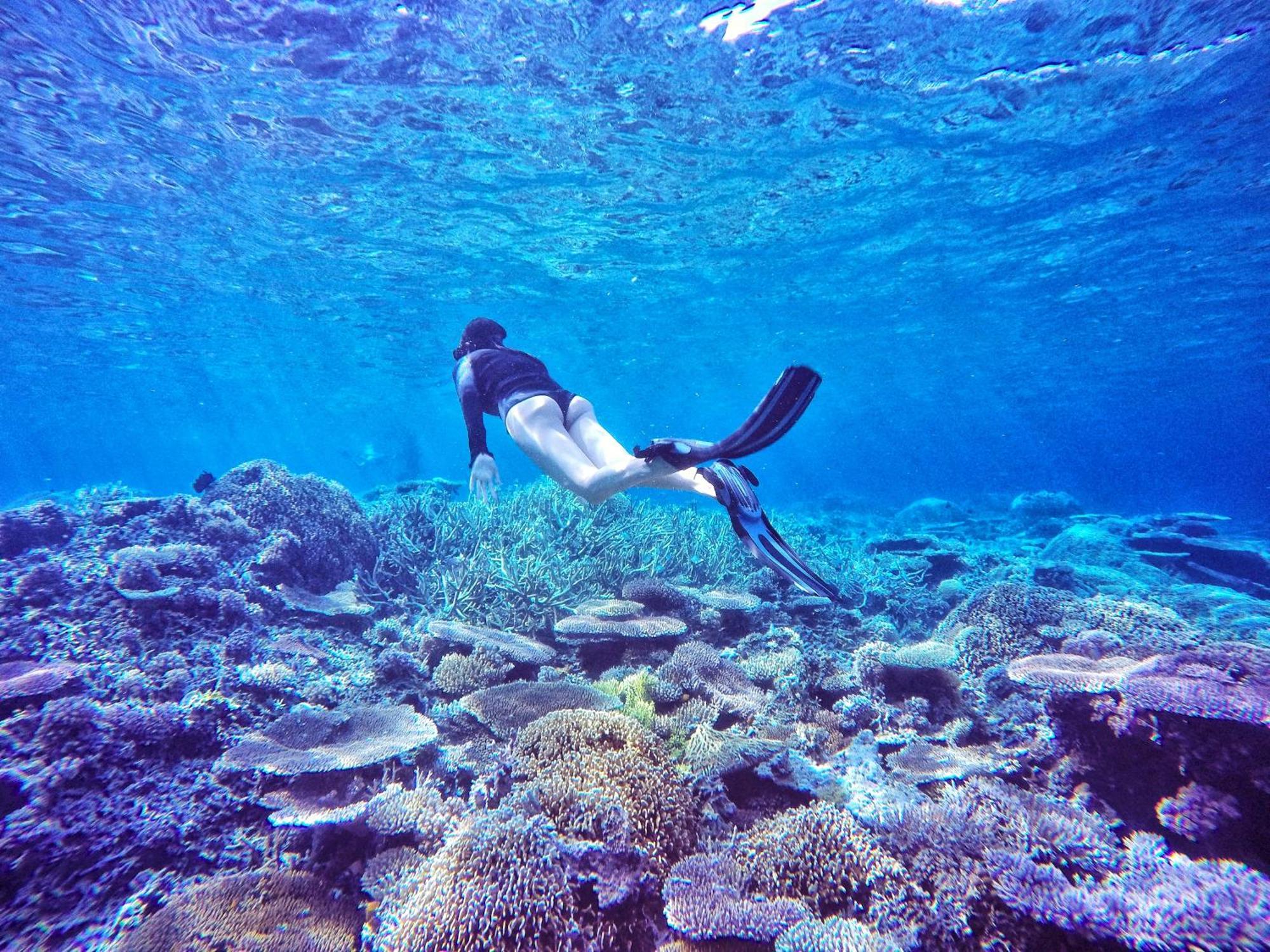 Bolilanga Island Resort - Togean Island Angkayo Екстериор снимка