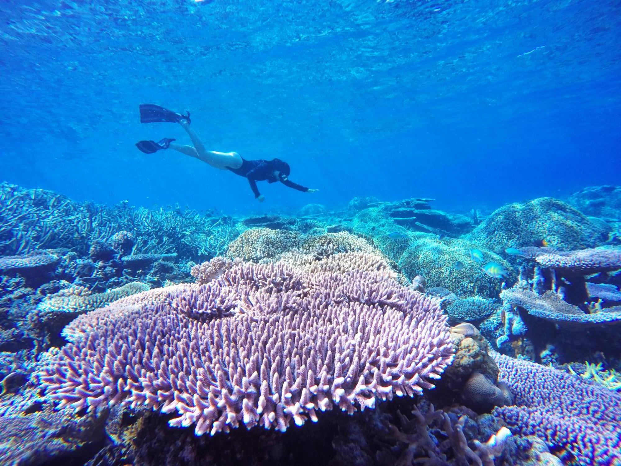 Bolilanga Island Resort - Togean Island Angkayo Екстериор снимка