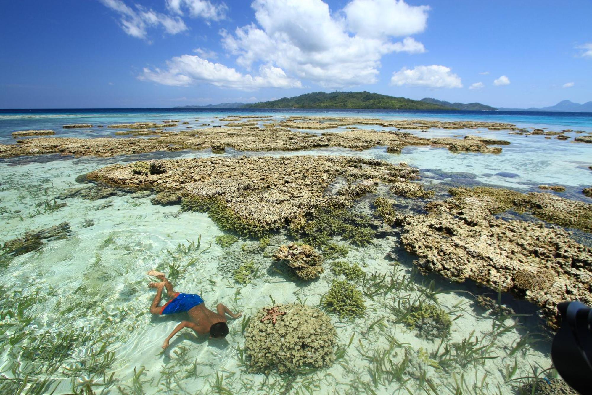 Bolilanga Island Resort - Togean Island Angkayo Екстериор снимка