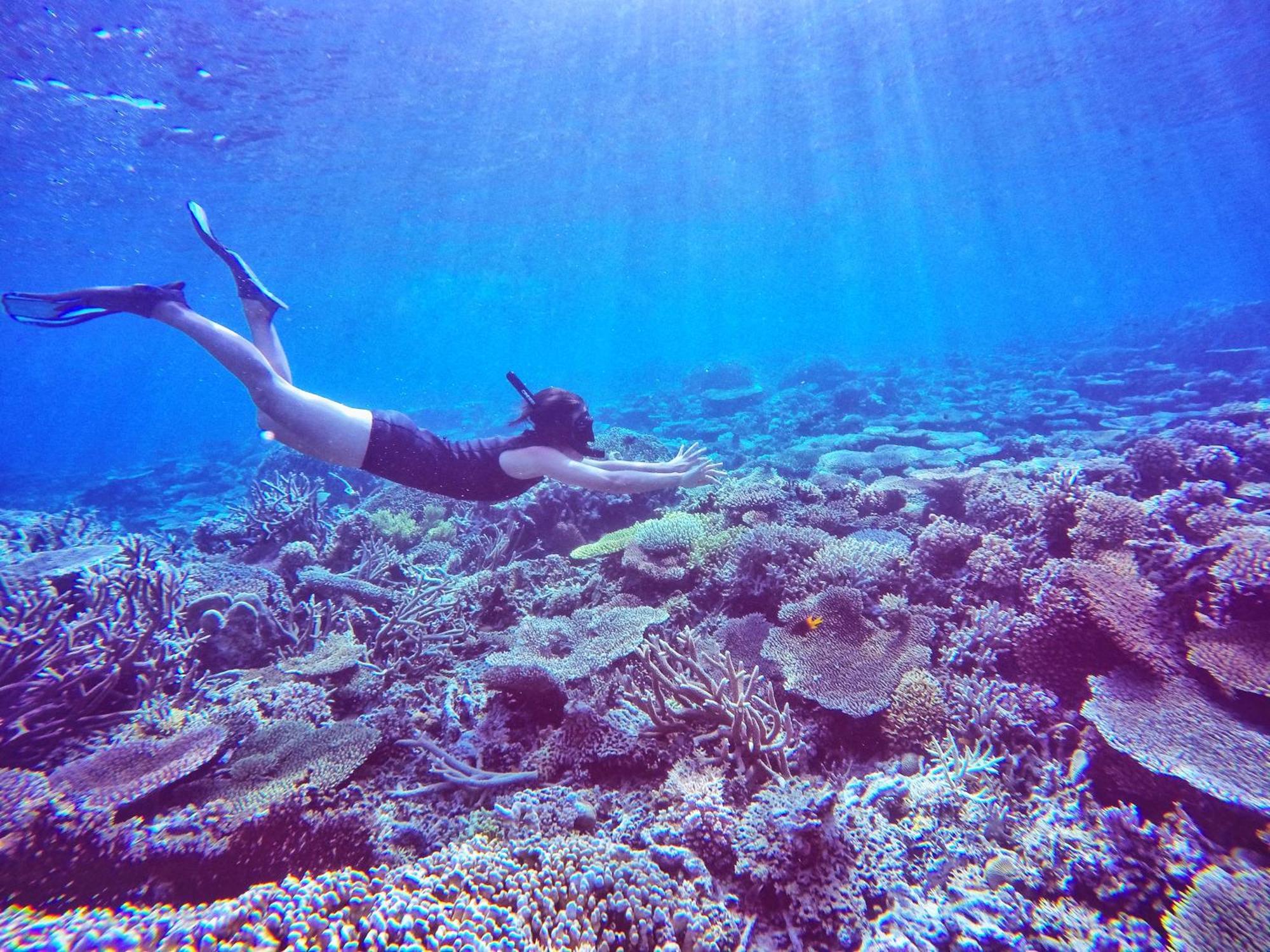Bolilanga Island Resort - Togean Island Angkayo Екстериор снимка