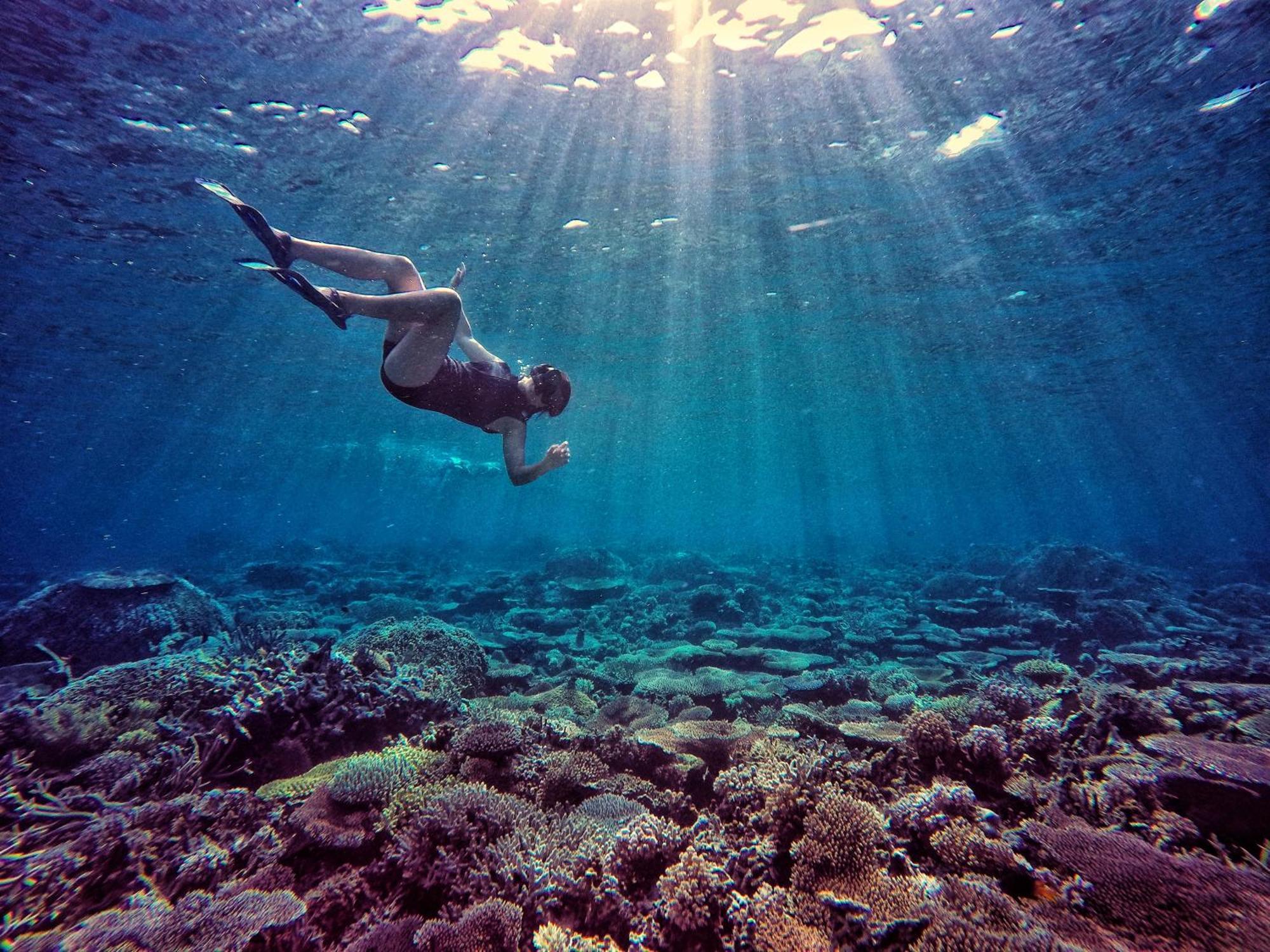 Bolilanga Island Resort - Togean Island Angkayo Екстериор снимка